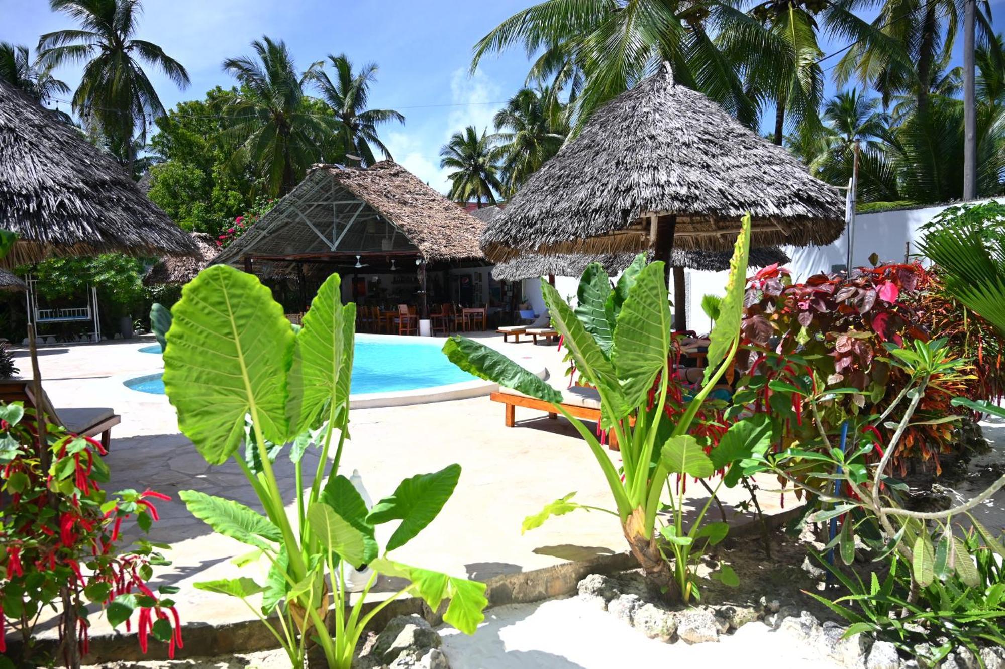 Ananda Villa Zanzibar Bwejuu Eksteriør billede